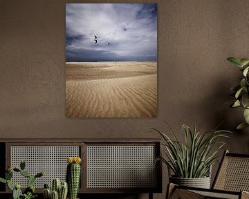 Vogels in vlucht over het strand