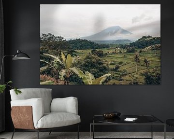 Paradise Views: Rice fields and Mount Agung in Enchanting Bali by Troy Wegman