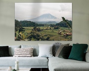 Paradiesische Aussichten: Reisfelder und der Berg Agung im zauberhaften Bali von Troy Wegman