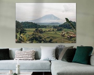 Paradise Views: Rice fields and Mount Agung in Enchanting Bali by Troy Wegman