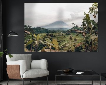 Paradise Views: Rice fields and Mount Agung in Enchanting Bali by Troy Wegman