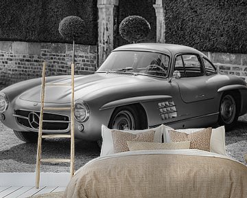 Mercedes-Benz 300SL Gullwing classic sports car by Sjoerd van der Wal Photography