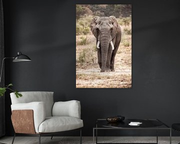olifant van Design Wall Arts