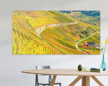 Autumn vineyards in the Ahr valley by Walter G. Allgöwer