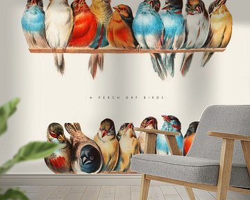 Hector Giacomelli - Een baars van vogels