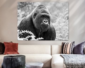 Wildlife - Machtige Gorilla in zwart-wit