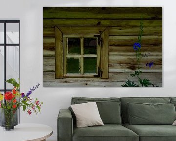 Raam met blauwe bloem