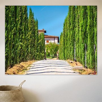 Laan en villa in Italië