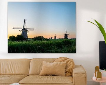 Windmolens in het riet bij heldere lucht van Erwin Pilon