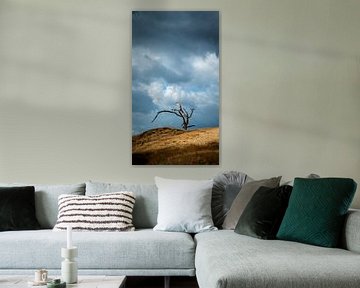 Dead tree in the sand against threatening sky by Erwin Pilon