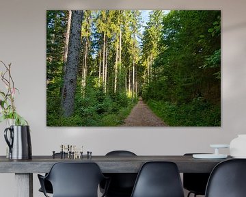 Forest path in the Black Forest by Tanja Voigt