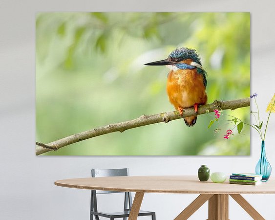 Aperçu de la chambre