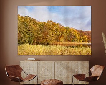 Blick auf den Haussee in der Feldberger Seenlandschaft