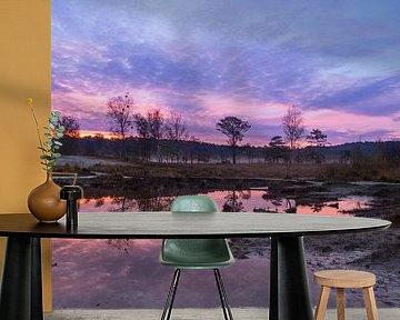 Red creek bei Sonnenaufgang von Francois Debets