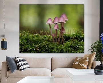 Magenta roze paddenstoelen in het groene bos van Nik Valeeva