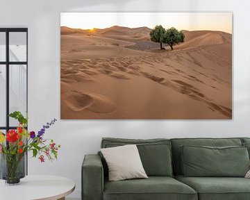 Sahara Marokko van Roy Vereijken
