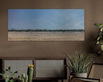 Op de Namibische savanne (Naukluft) van Eddie Meijer