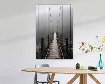 The footbridge in the forests of Yakushima by Anges van der Logt