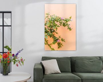 oranje muur met groene plant en paarse en roze bloemen | griekenland | reisfotografie van Lisa Bocarren