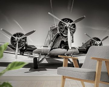 plane ju 52 by Frank Peters