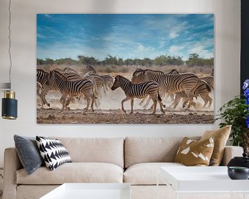 Zebras trotting on the savannah by Eddie Meijer