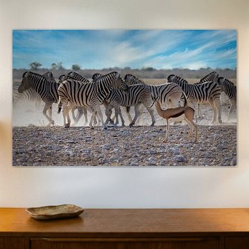 Antilopen und Zebras in der Savanne