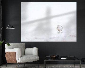 Hochbegabter Sanderling am Strand von Ronald Buitendijk Fotografie