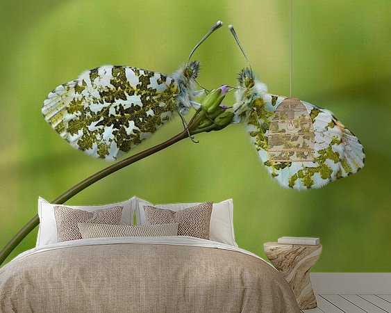 Voorbeeld van het werk in een kamer