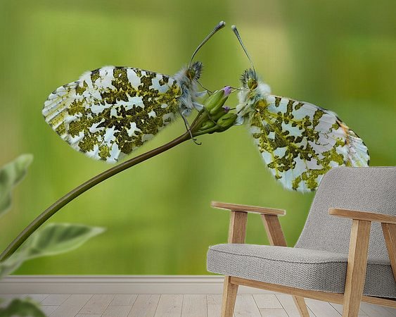 Voorbeeld van het werk in een kamer