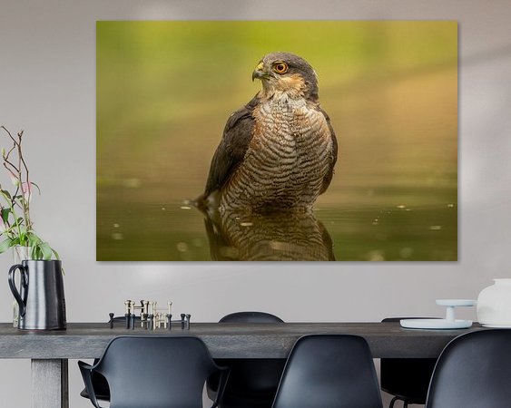 Aperçu de la chambre