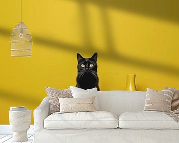 Minimalism with a cat by Harry Cathunter