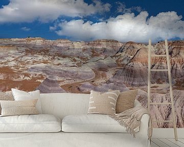 Painted Desert, Arizona USA. Groothoek foto van Gert Hilbink