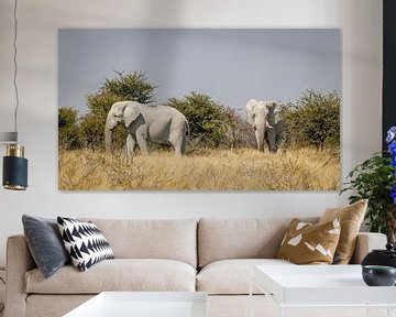 Two elephants on the savannah by Eddie Meijer