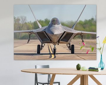 USAF Lockheed Martin F-22 Raptor stealth fighter. van Jaap van den Berg