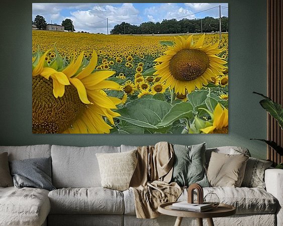 Aperçu de la chambre