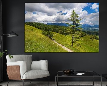 View from the Hoher Kranzberg to the Ester Mountains near Mittenwald by Rico Ködder