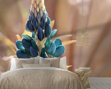 Lupine by Violetta Honkisz