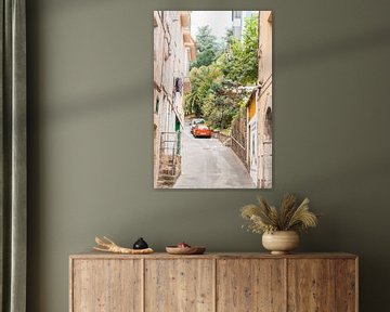 street with plants and cars | Spain | travel photography by Lisa Bocarren