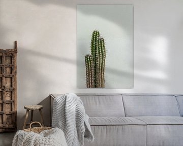 Cactus vert sur mur blanc et vert écaillé | Espagne Altea | photographie de voyage sur Lisa Bocarren