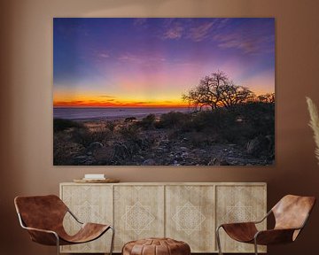 View over the salt flats at Kubu Island Botswana by Eddie Meijer