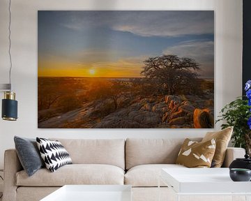 Vue sur les salines de l'île de Kubu Botswana II