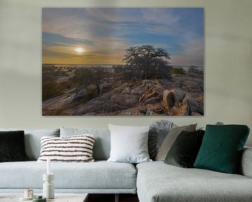 Blick über die Salzebenen auf Kubu Island Botswana IV von Eddie Meijer