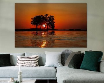 Untergehende Sonne mit Silhouette eines Baumes im Chobe