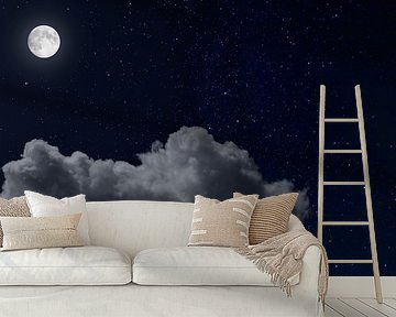 Full Moon at night by Corinne Welp