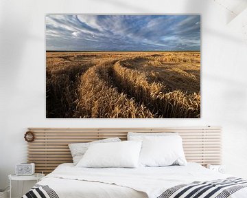 Een foto van graanvelden met tarwe in de provincie Groningen van Bas Meelker