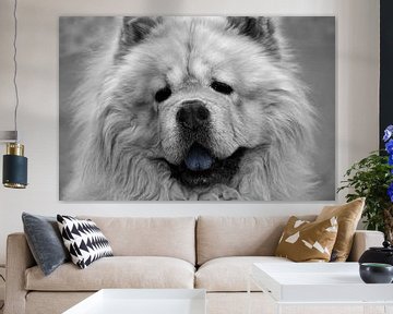 Chow-Chow colored by Ingo Laue