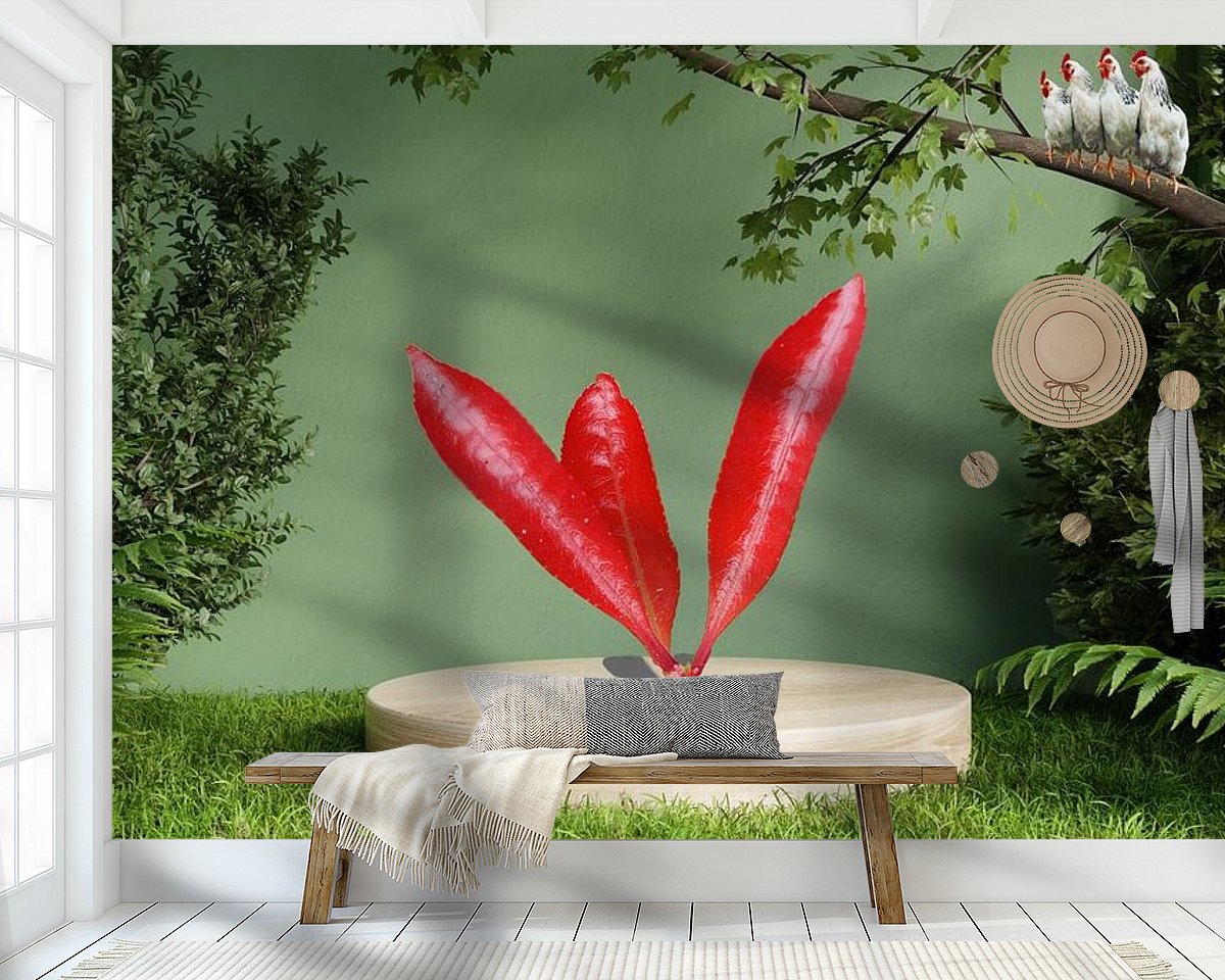 Raumvorschau