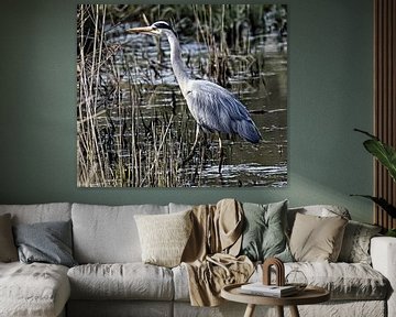 Blue Heron digital Illustration by fb-fotografie