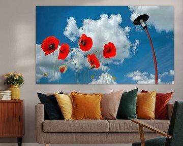 Coquelicots et lampadaires sur Herman Beld