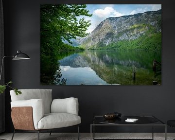 nature in slovenie met het  water van het meer van bohinj van ChrisWillemsen